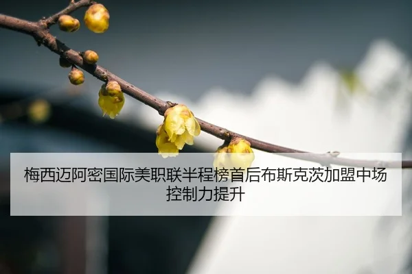 mei-xi-mai-a-mi-guo-ji-mei-zhi-lian-ban-cheng-bang-shou-hou-bu-si-ke-ci-jia-meng-zhong-chang-kong-zhi-li-ti-sheng-3-212.jpg